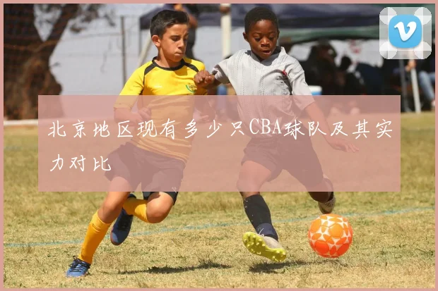 北京地区现有多少只CBA球队及其实力对比